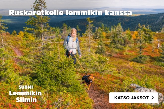 Katso Suomi Lemmikin Silmin -jaksot