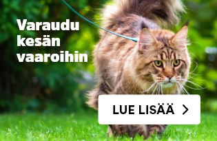 varaudu vaaroihin