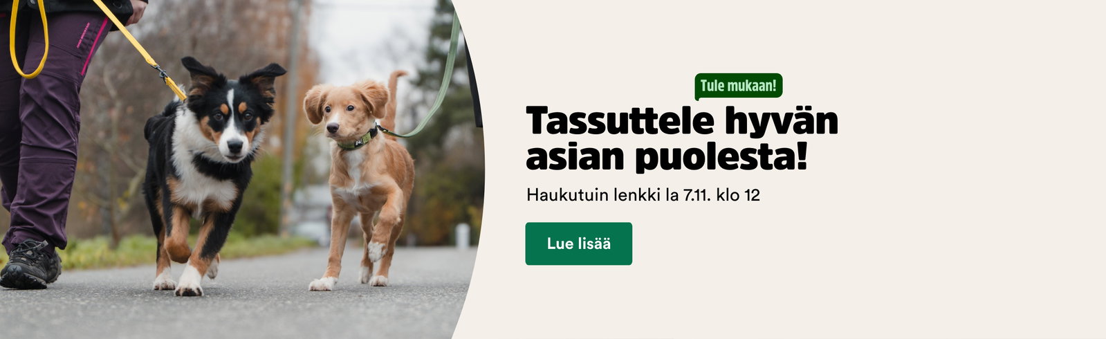 Haukutuin lenkki 7.11. klo 12 
