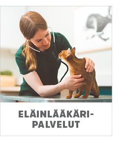 eläinlääkäri