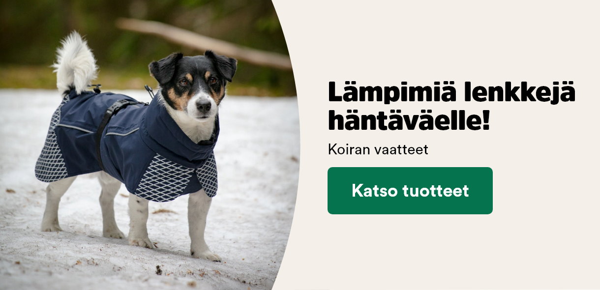 Koiran vaatteet
