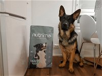 Nutrima Dog Health Digestion koiranruoka | Koiranruoka / Koiran kuivaruoka