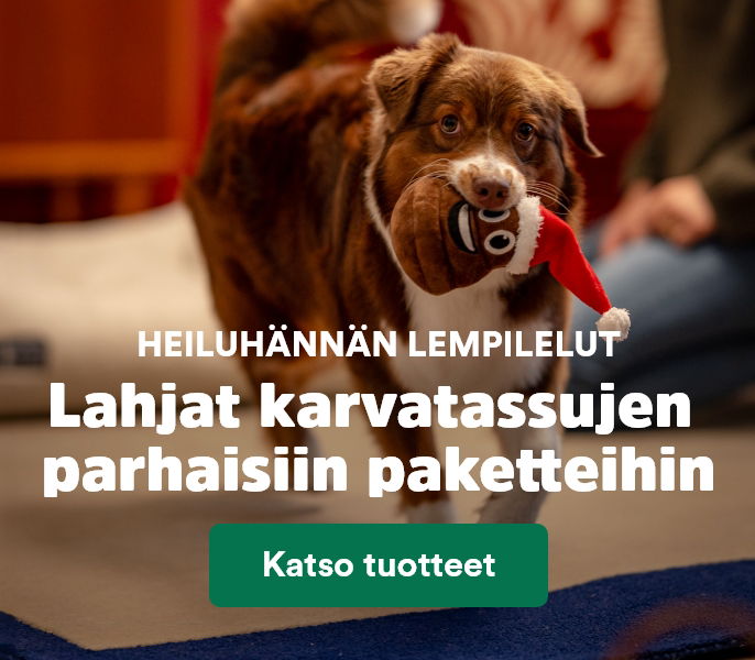 Joululahjat koiralle