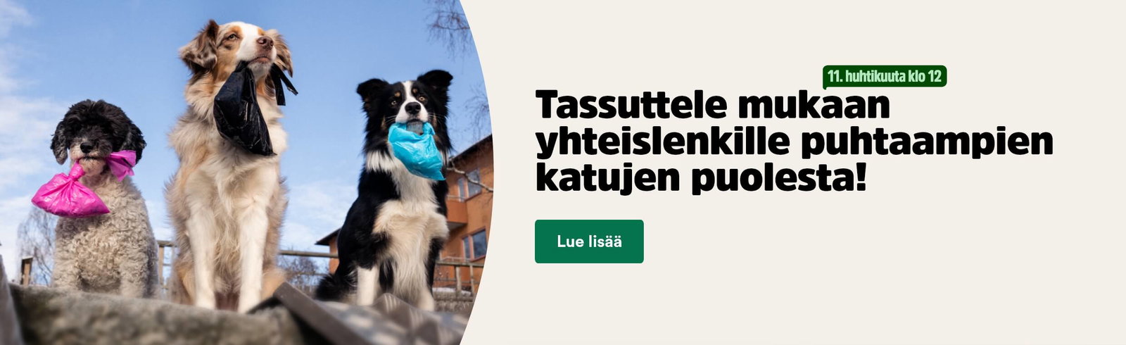 Osallistu kakkak&auml;velylle!