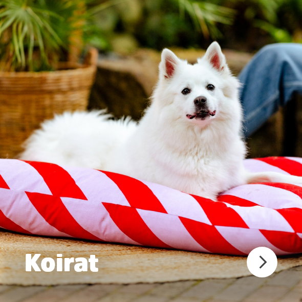 Koirat  navigation banner