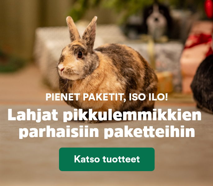 Button_Xmas_LP_all gifts for small animals