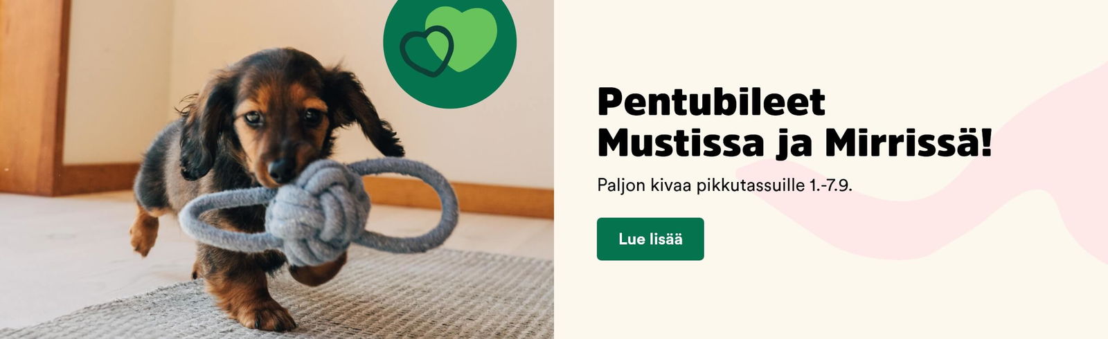 Pentubileet Mustissa ja Mirrissä! Paljon kivaa pikkutassuille 1.-7-9. Lue lisää!