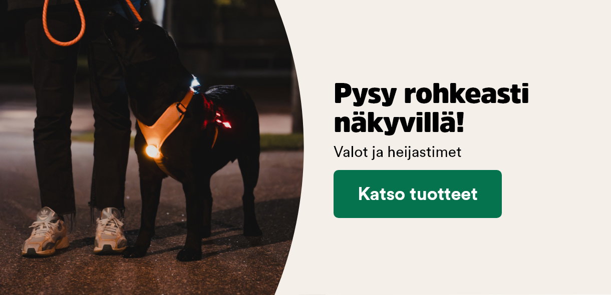Koiran valot ja heijastimet 
