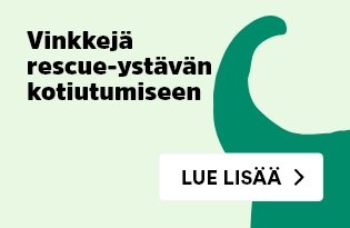 Vinkkejä rescue-lemmikin kotiutumiseen