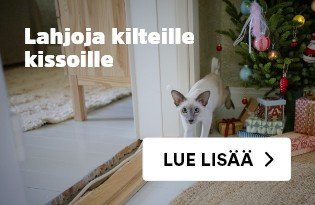 Joluluvinkit kissoille