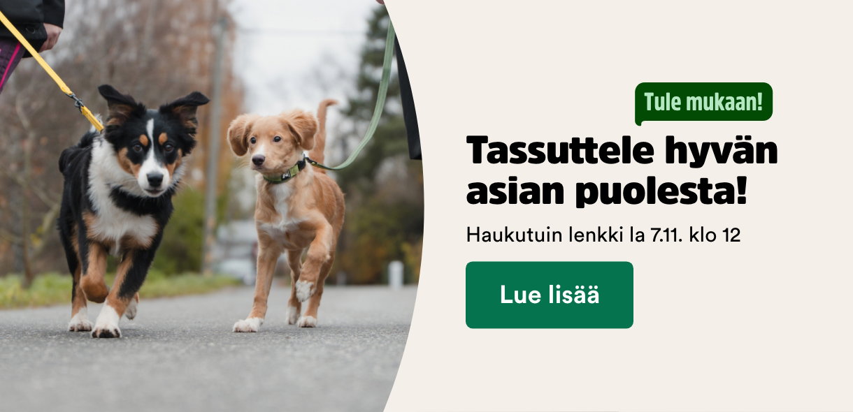 Tassuttele hyv&auml;n asian puolesta!