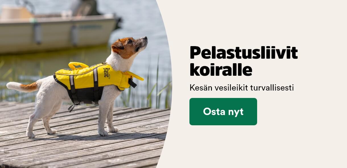 Koira pelastusliiviss&auml;