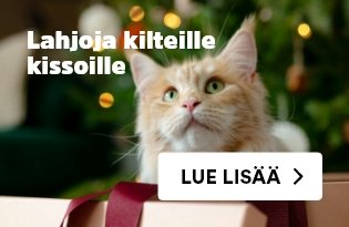 Lemmikin joulu - Joulun parhaat lahjat Mustista ja Mirristä!