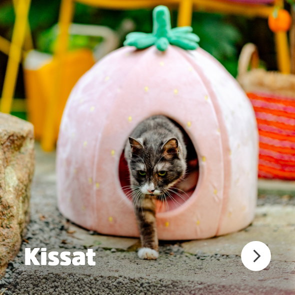 Kissat navigation banner