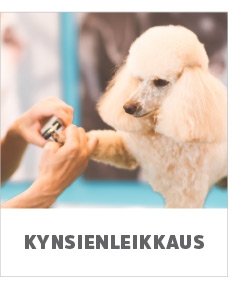 kynsien leikkuu