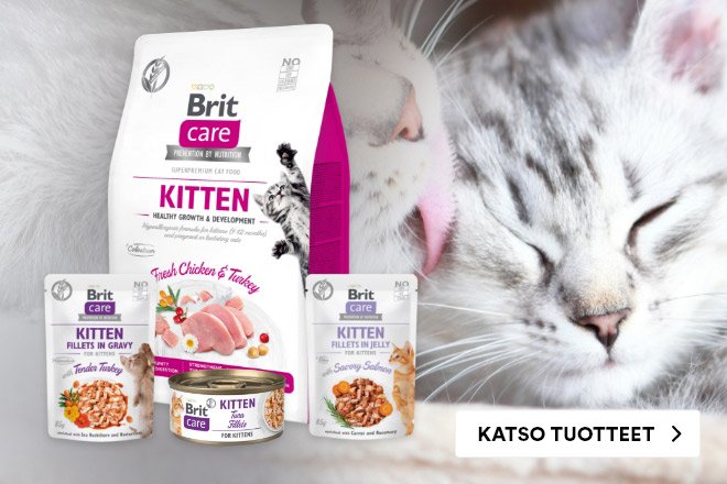 Brit Care - Hypoallergeeninen ruoka herkälle kissanpennulle