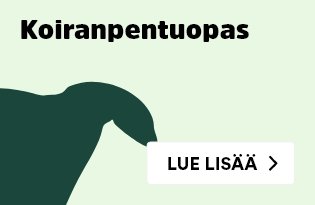 Koiranpentuopas