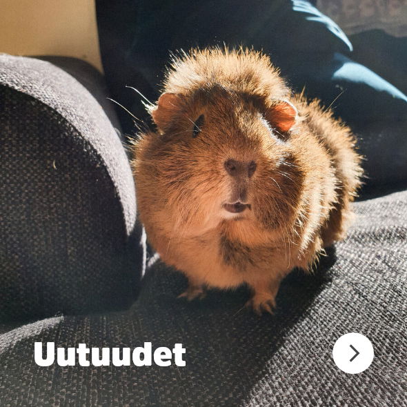 Musti ja Mirri uutuustuotteet pieneläimille