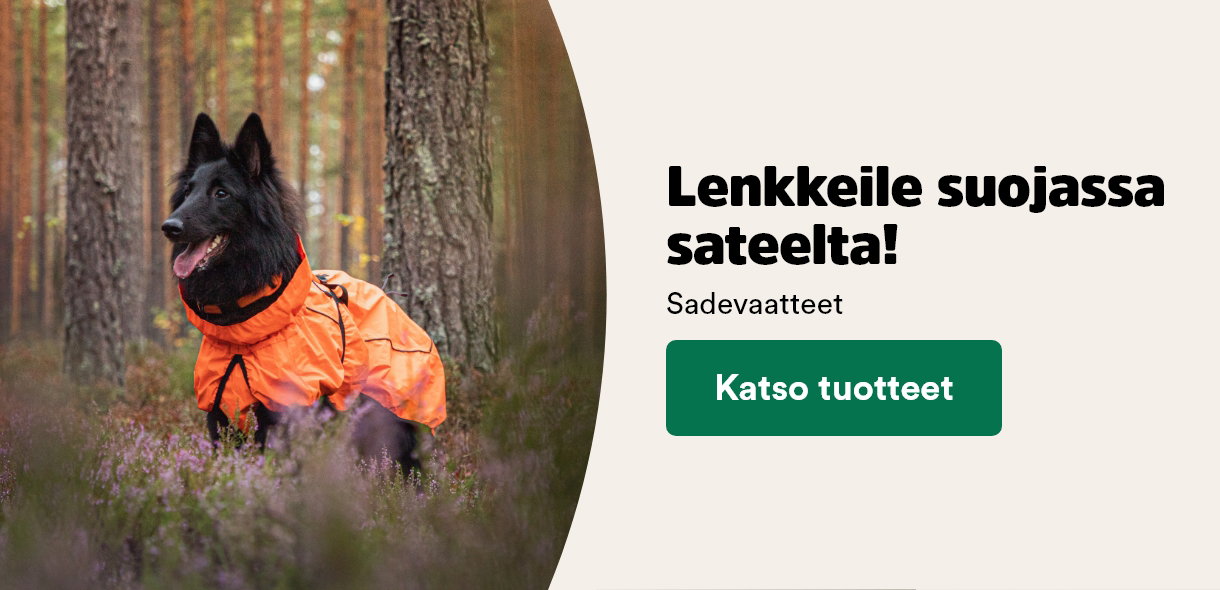 Koiran sadevaatteet