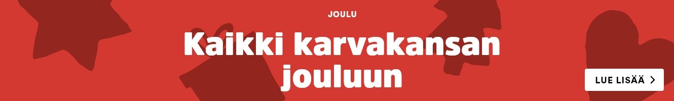koiran joululahjat
