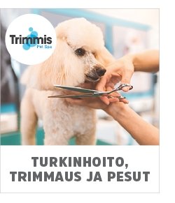koiran trimmaus