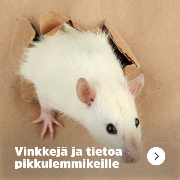 Musti ja Mirri vinkit- ja artikkelit pieneläimille