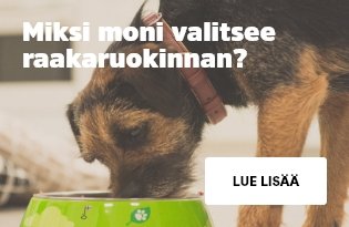 Miksi moni valitsee raakaruokinnan?