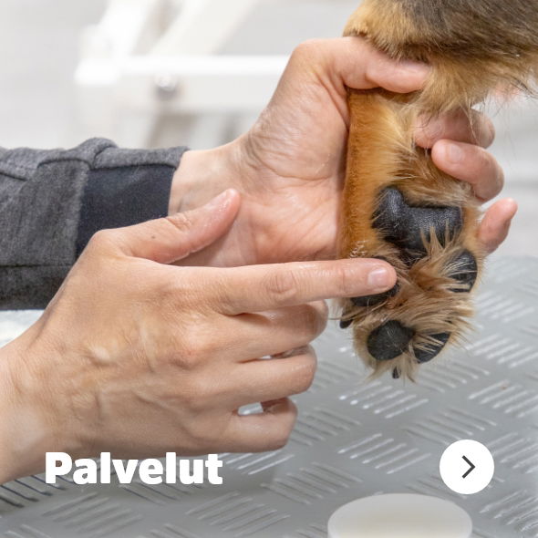 kittenfront_navigation_service