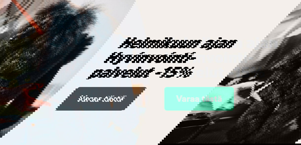 Kaikki hyvinvointipalvelut -15 %