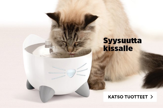 Uutuudet kissoille