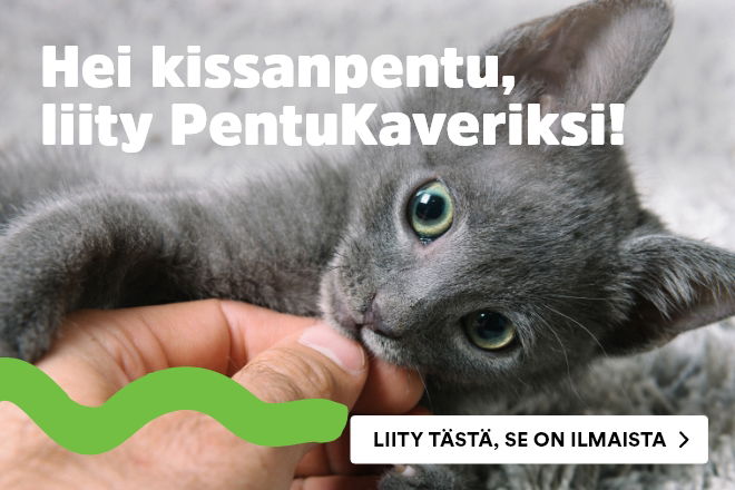 Hei kissanpentu, liity PentuKaveriksi!