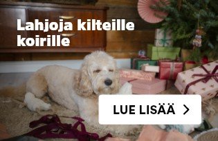 Joulutuoteet koirille