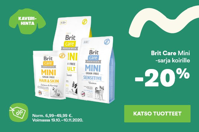 Musti Ja Mirri Kaverina Myota Ja Vastakarvassa Musti Ja Mirri