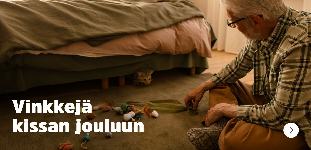 Vinkkejä kissan jouluun