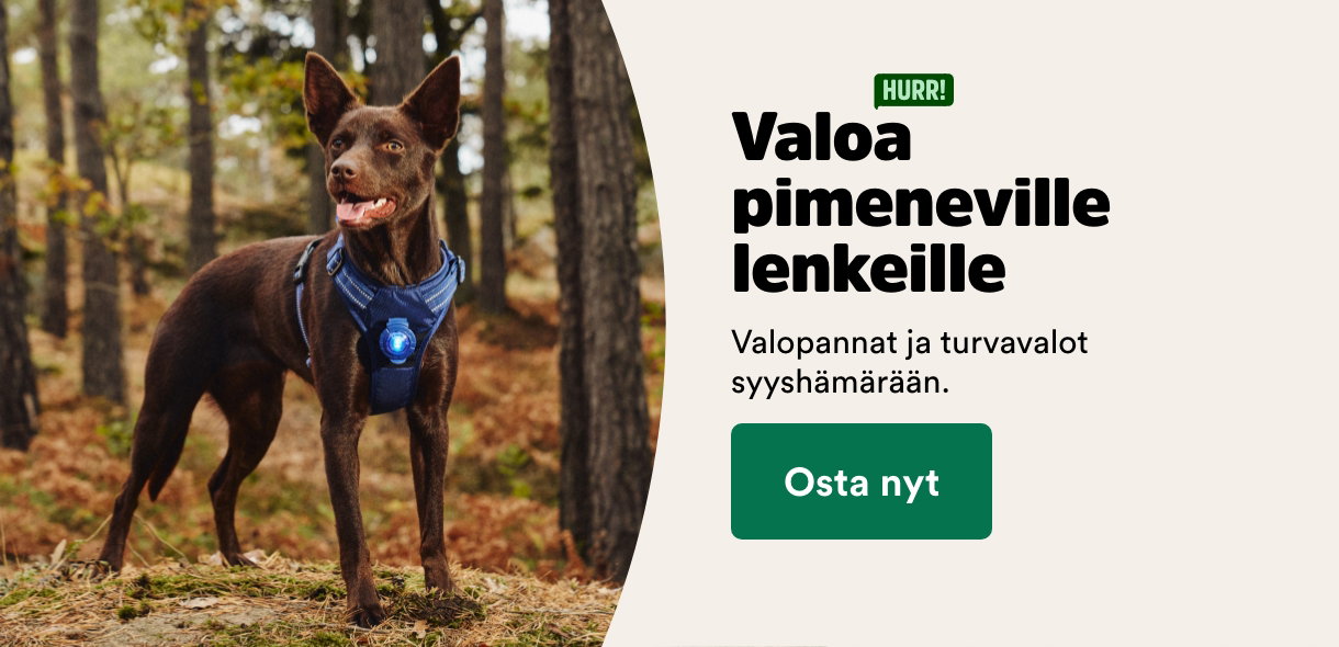 Valoa pimeneville lenkeille