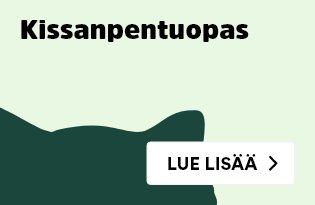Kissanpentuopas