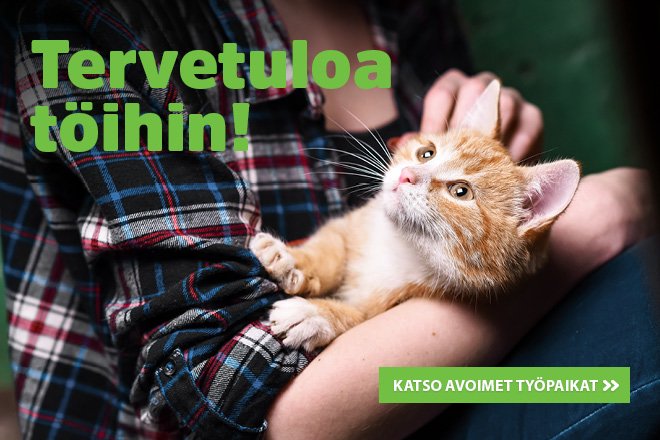 Tervetuloa t&ouml;ihin