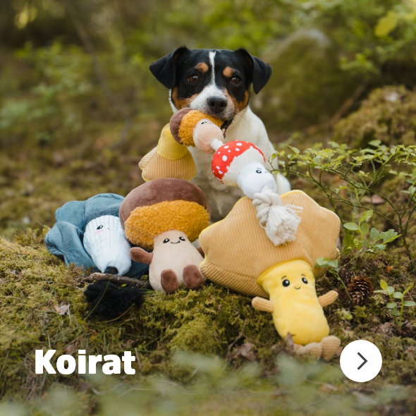 koirat