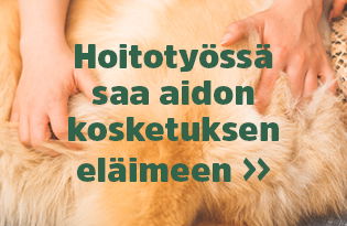 Hyvinvointipalvelut ty&ouml;paikkana