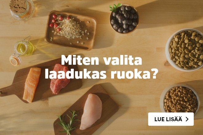 Miten valita laadukas ruoka? Lue lisää.