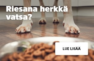 Riesana herkkä vatsa?