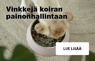 Vinkkejä koiran painonhallintaan