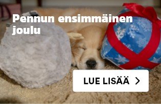 Pennun ensimmäinen joulu