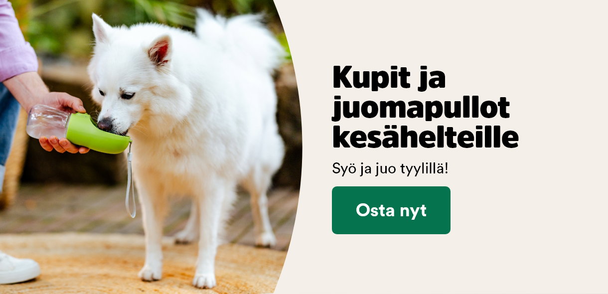 Kes&auml;n koirakupit