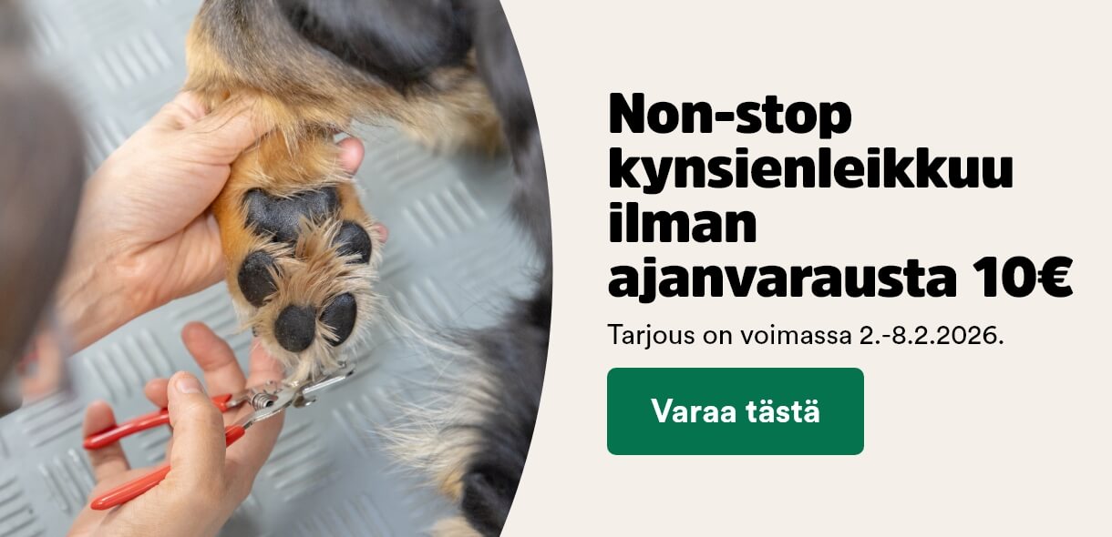 Non-stop kynsienleikkuu ilman ajanvarausta 10 &euro;