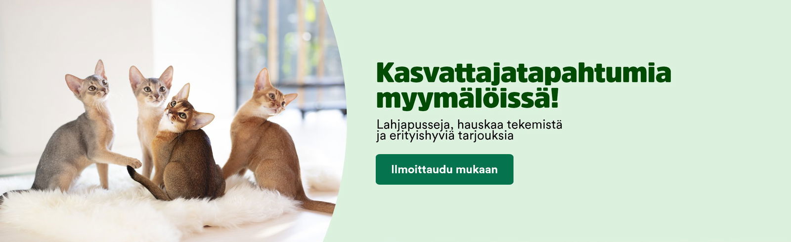 kev&auml;&auml;n tapahtumat banneri