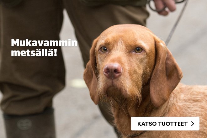 Tarvikkeet metsästyskaudelle