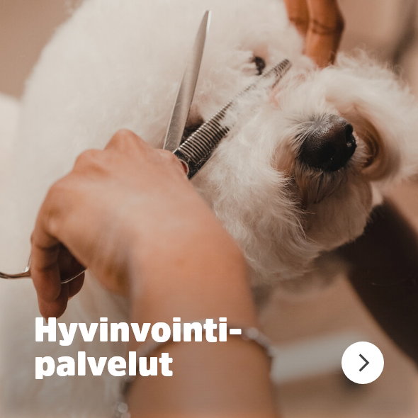 Hyvinvointi navigation banner