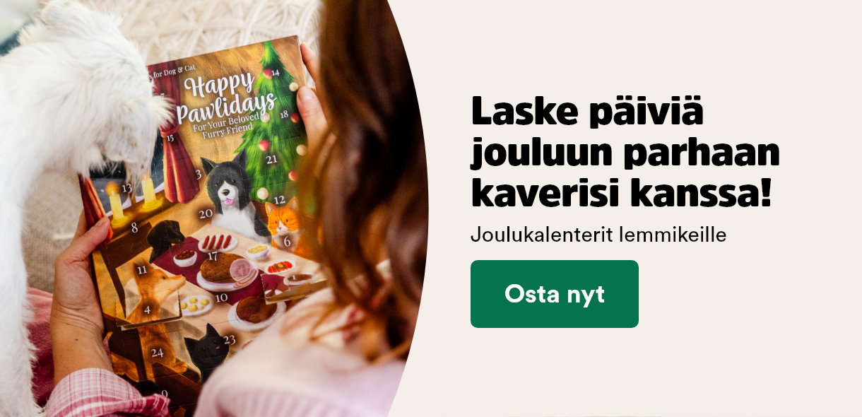 Laske p&auml;ivi&auml; jouluun parhaan kaverisi kanssa!