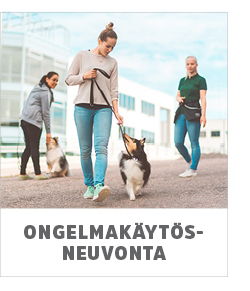 ongelmakäytösneuvonta